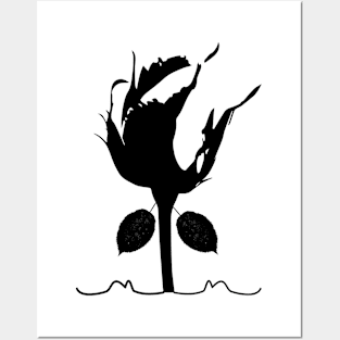 Flower || Nature Posters and Art